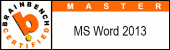Master MS Word 2013